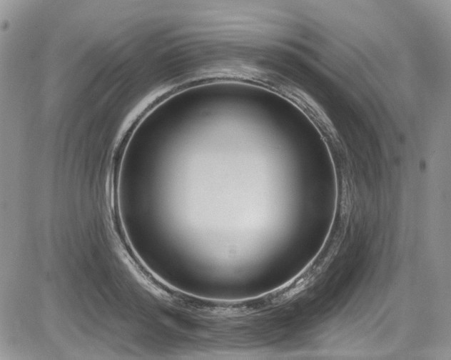 X0000085800796200703161149