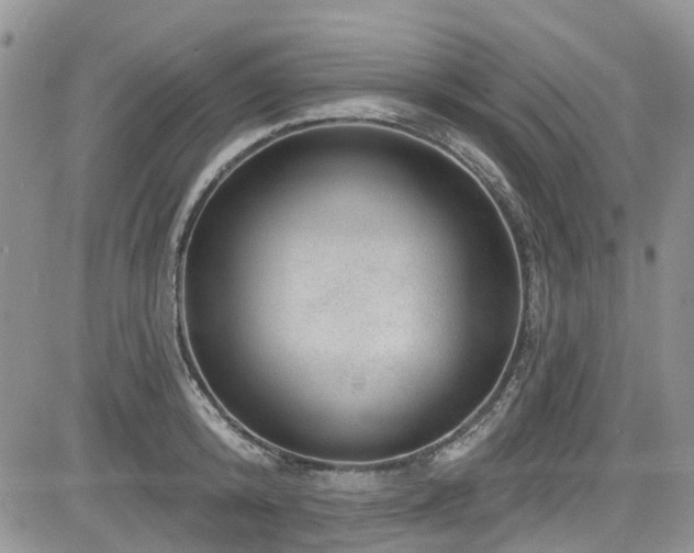 X0000085800800200703161149