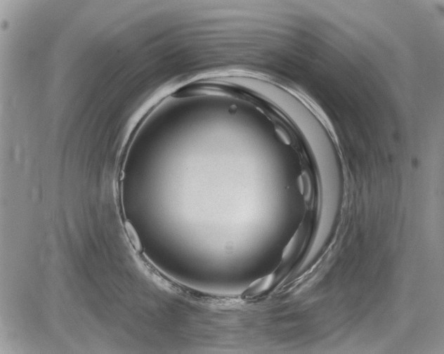 X0000085800813200703161148