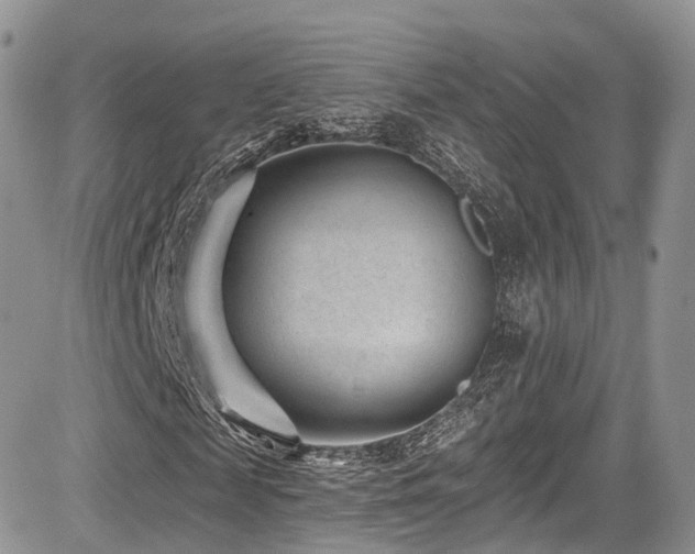 X0000085800817200703161147
