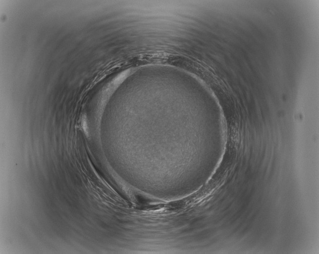 X0000085800818200703161147