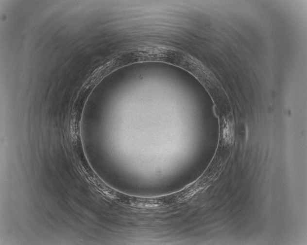 X0000085800819200703161147