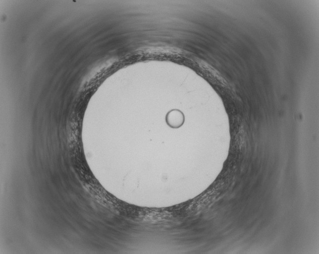 X0000085800824200703161148