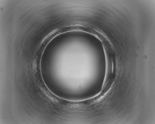 X0000085800826200703161148