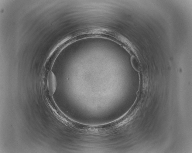X0000085800827200703161148