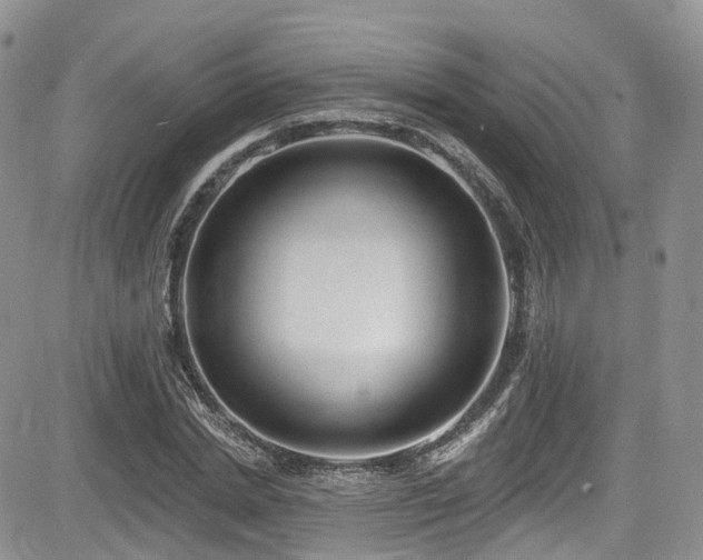 X0000085800830200703161148