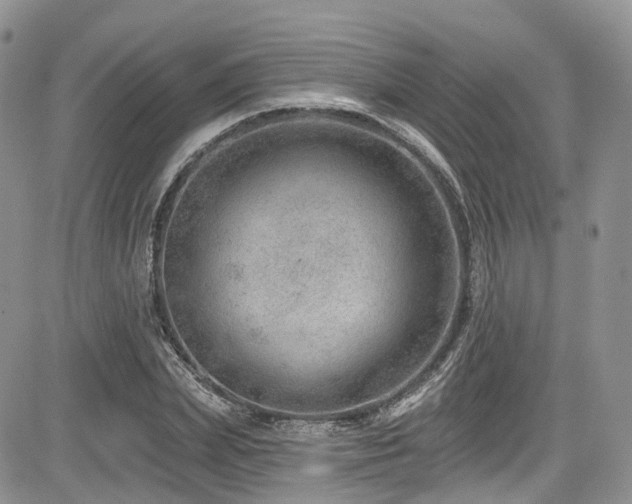 X0000085800831200703161148
