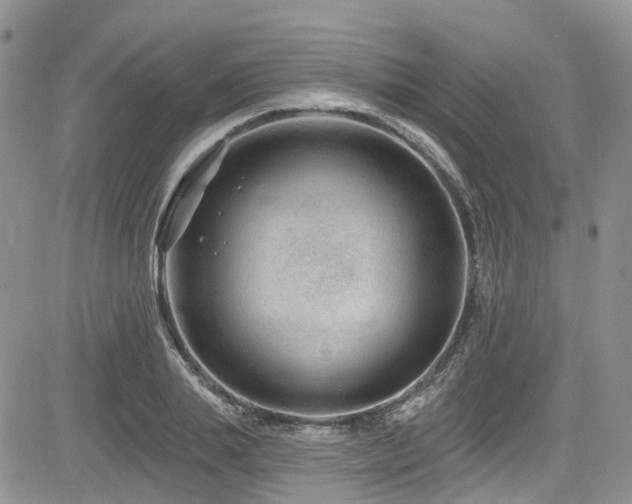 X0000085800839200703161148