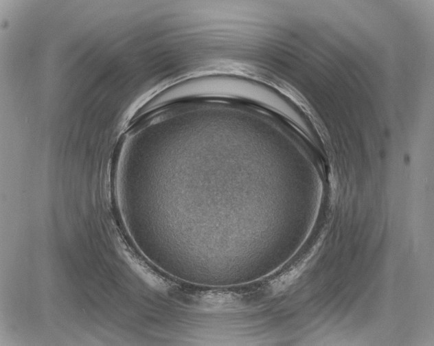 X0000085800842200703161148