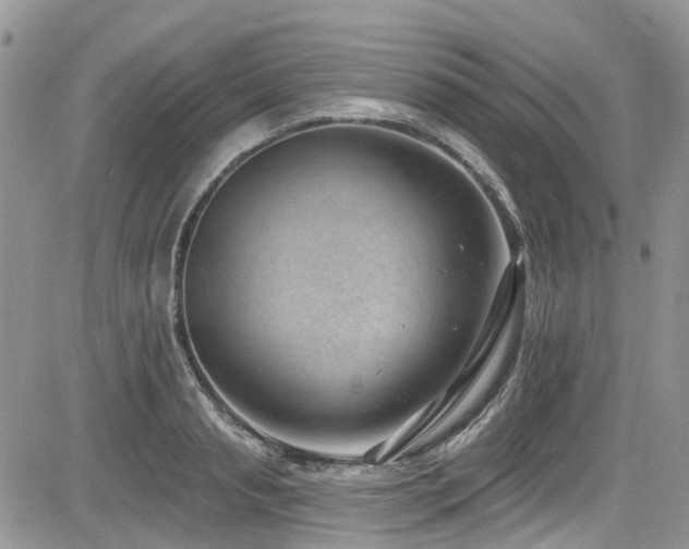 X0000085800845200703161148