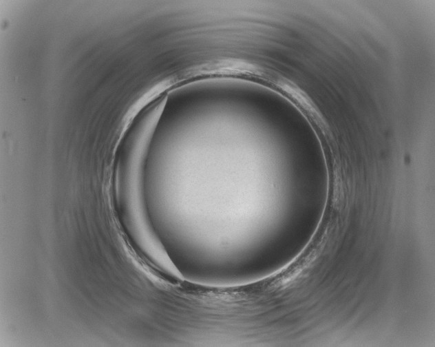 X0000085800850200703161148