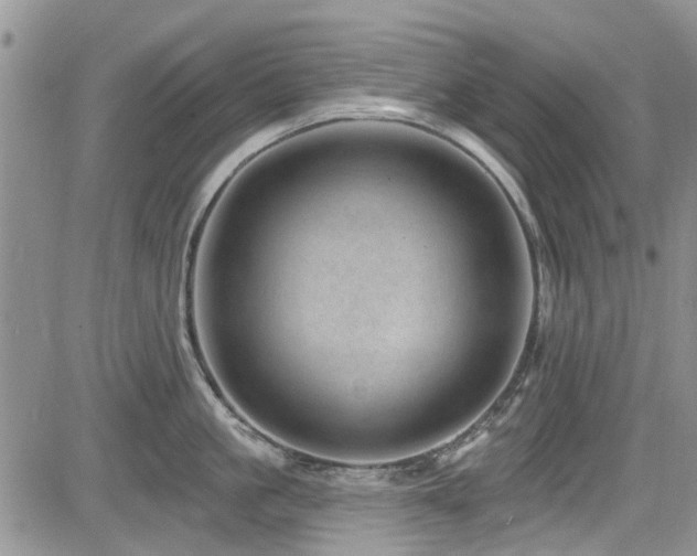 X0000085800861200703161148