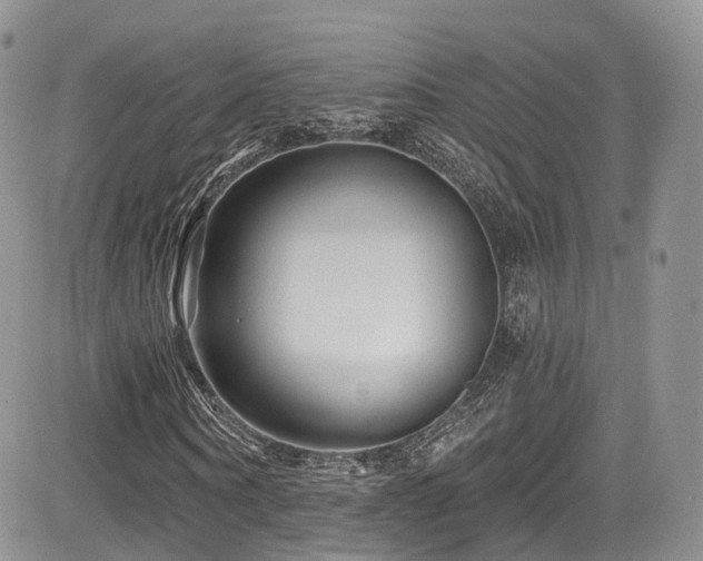 X0000085800866200703161147