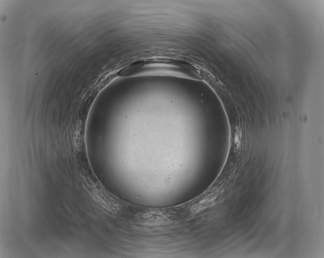 X0000085800867200703161147