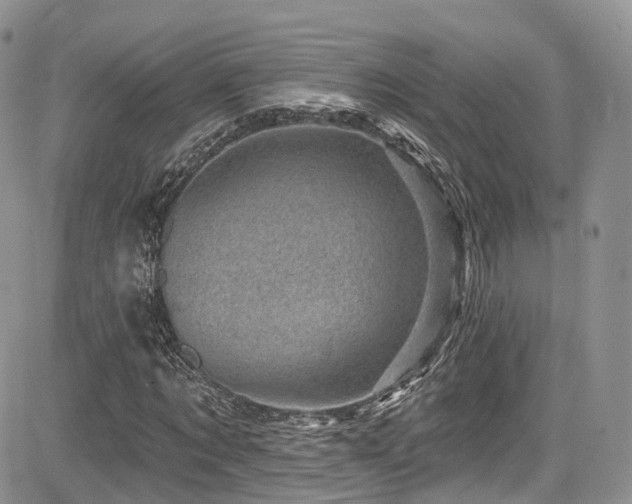 X0000085800869200703161147