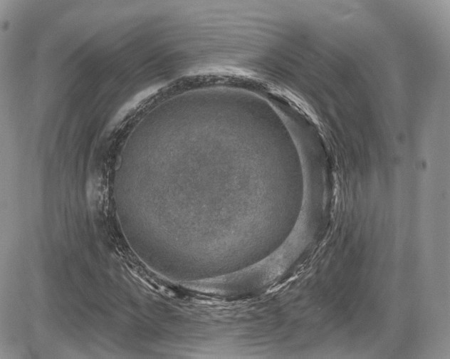 X0000085800872200703161147