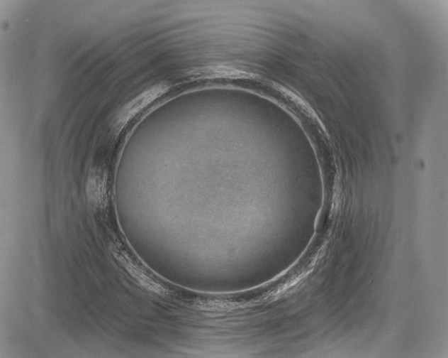 X0000085800873200703161147