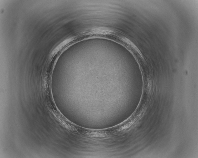 X0000085800874200703161147