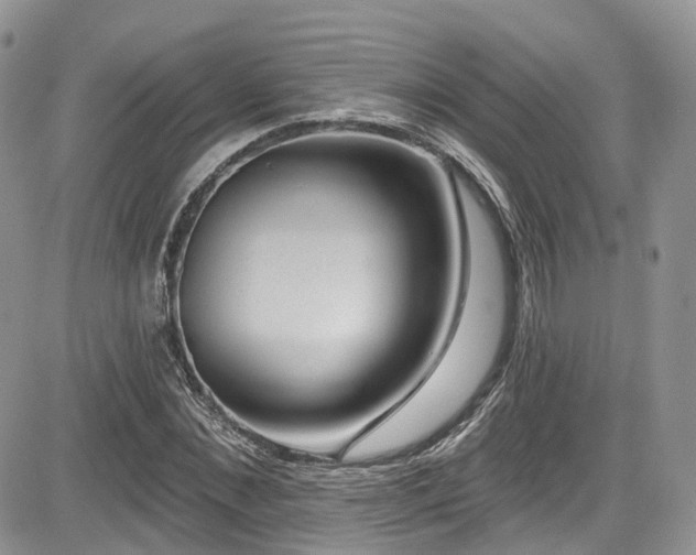 X0000085800876200703161147