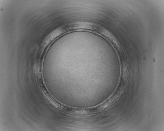 X0000085800882200703161147