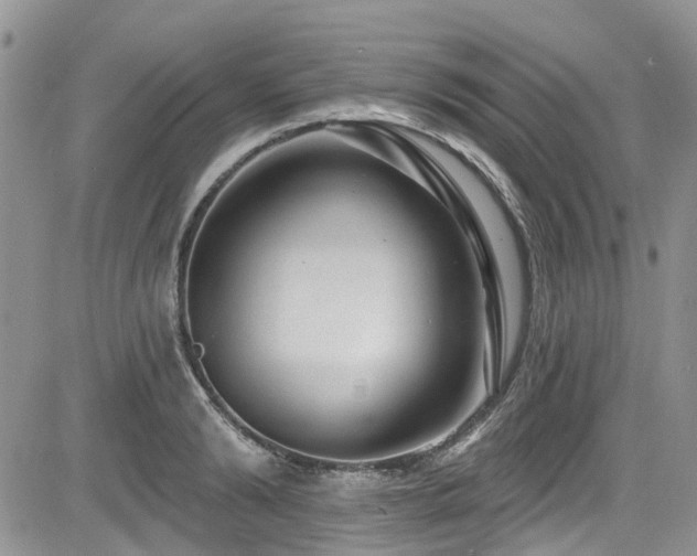 X0000085800894200703161147