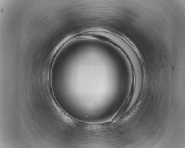 X0000085800909200703161147