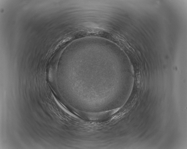 X0000085800916200703161146