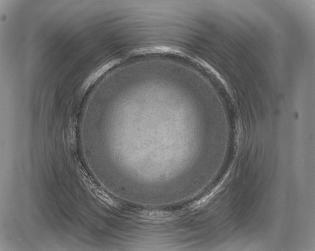 X0000085800921200703161146