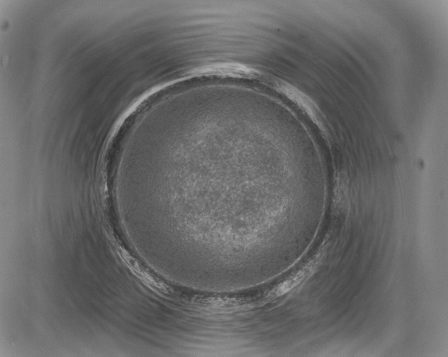 X0000085800923200703161146