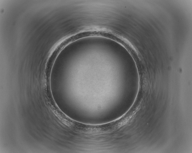 X0000085800927200703161146