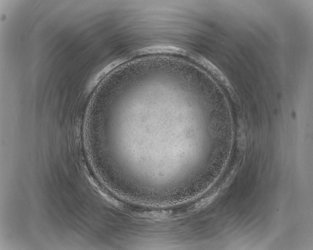 X0000085800937200703161146