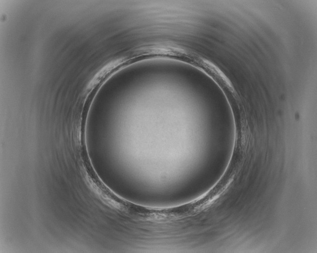 X0000085800938200703161146