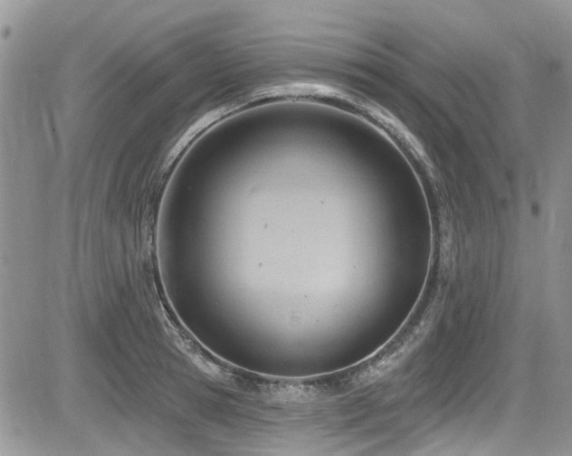 X0000085800945200703161146