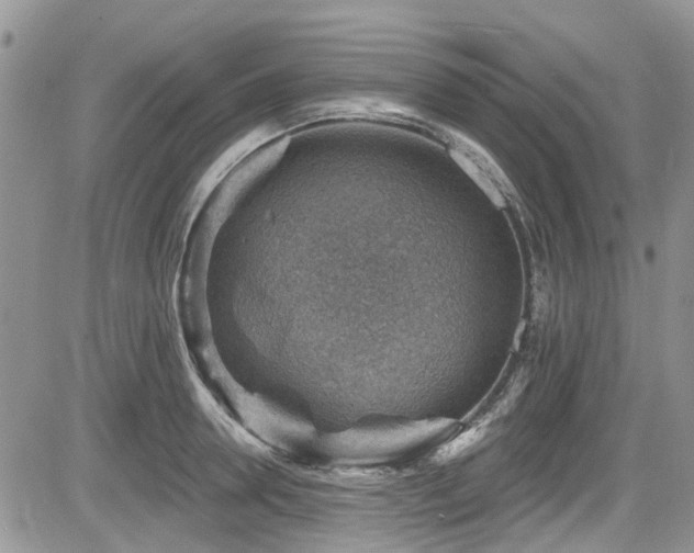 X0000085800946200703161146