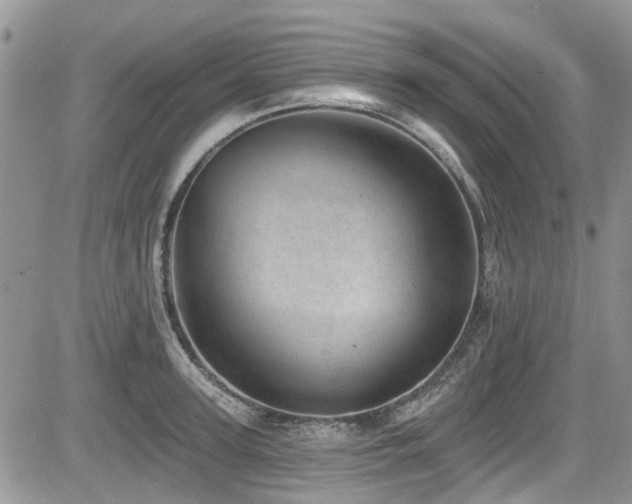 X0000085800947200703161146