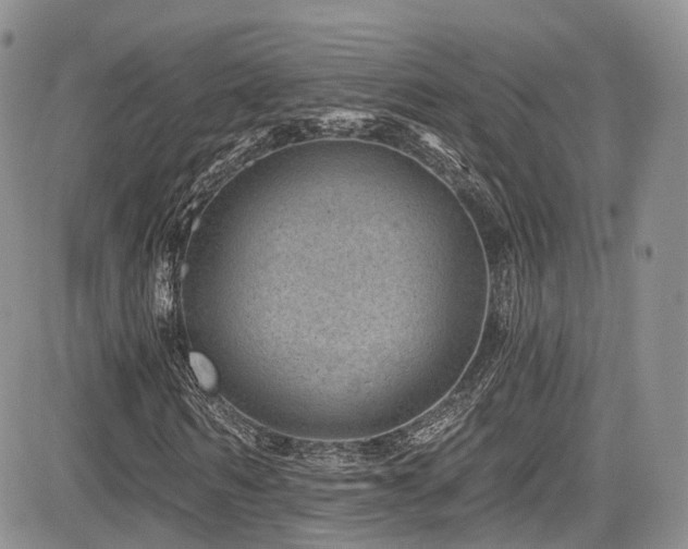 X0000085800962200703161146