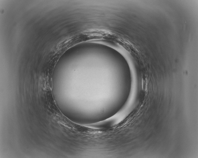 X0000085800965200703161146