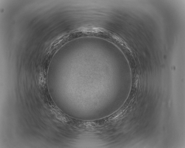 X0000085800966200703161146