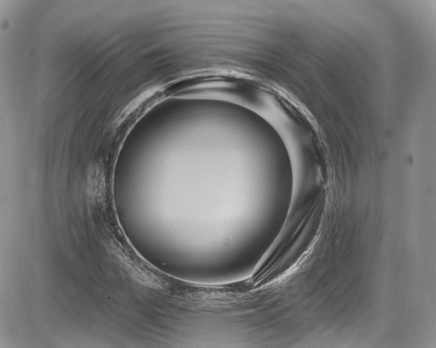 X0000085800969200703161146