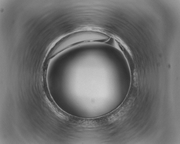 X0000085800972200703161146
