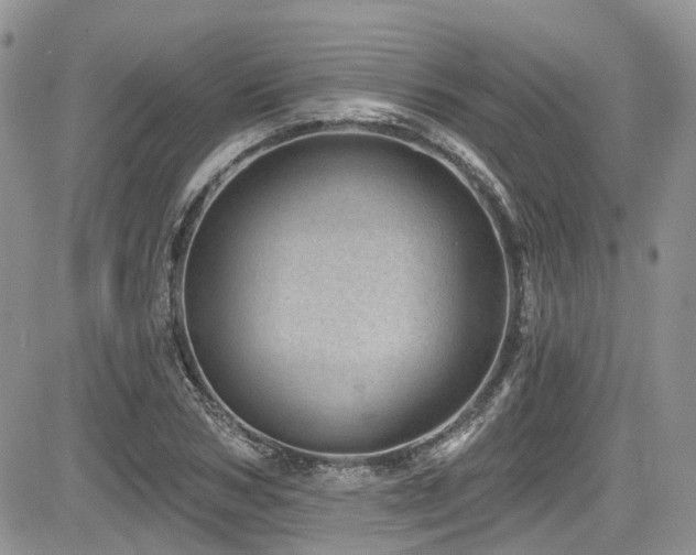 X0000085800978200703161146