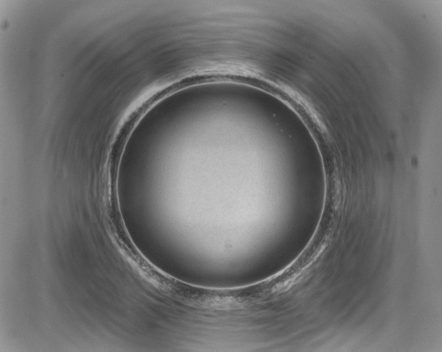 X0000085800982200703161145