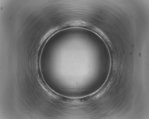 X0000085800986200703161145