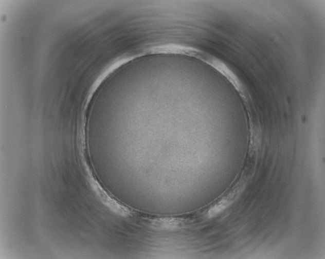 X0000085801000200703161145