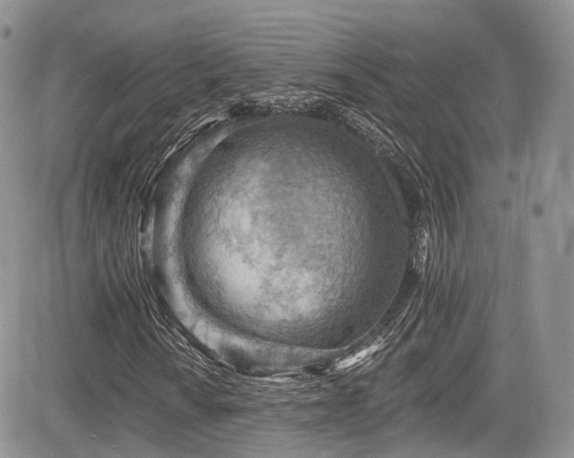 X0000085801010200703161144