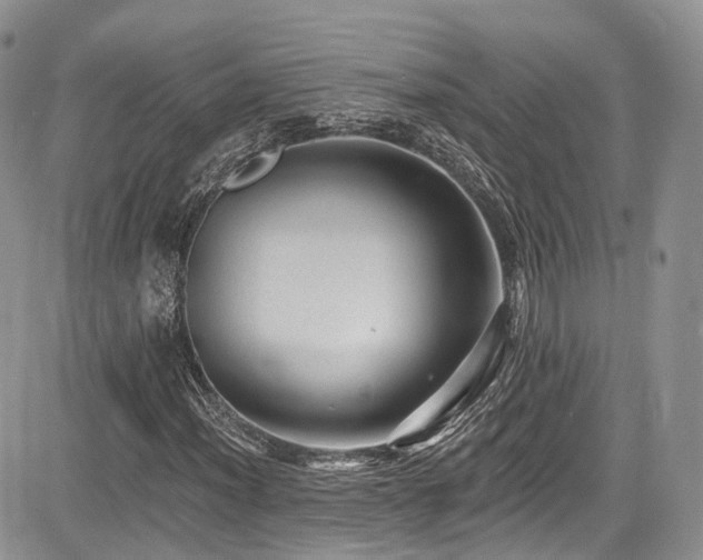 X0000085801012200703161144