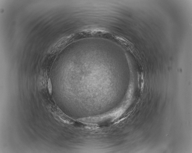X0000085801014200703161144
