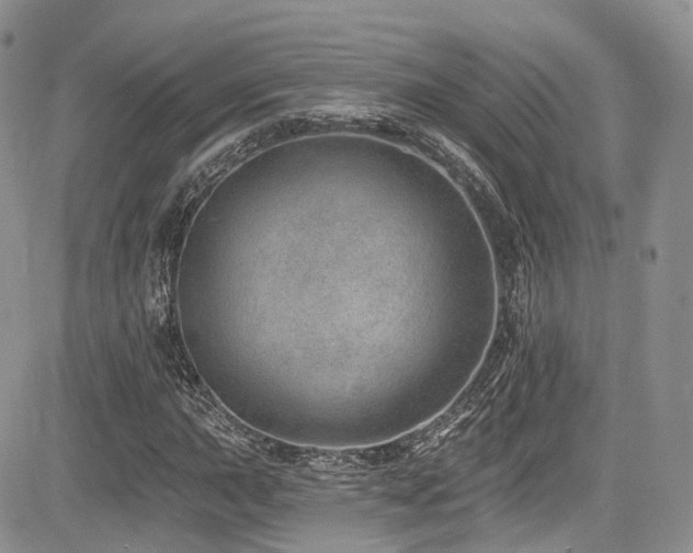 X0000085801015200703161144