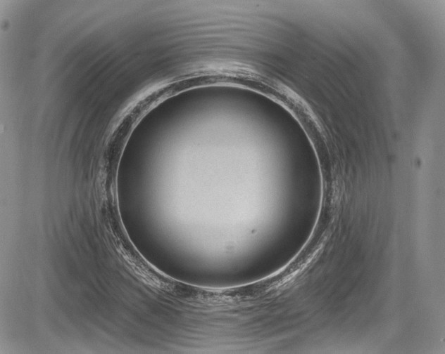 X0000085801019200703161144