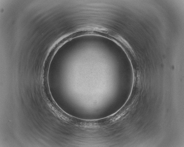 X0000085801020200703161144